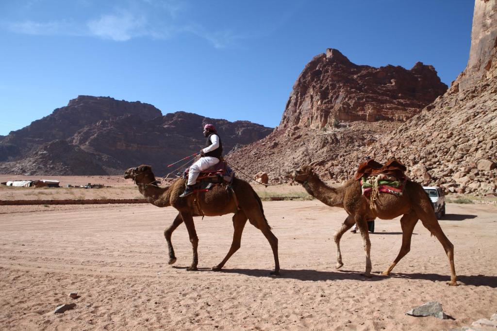 Bedouin Expedition 瓦迪拉姆 外观 照片