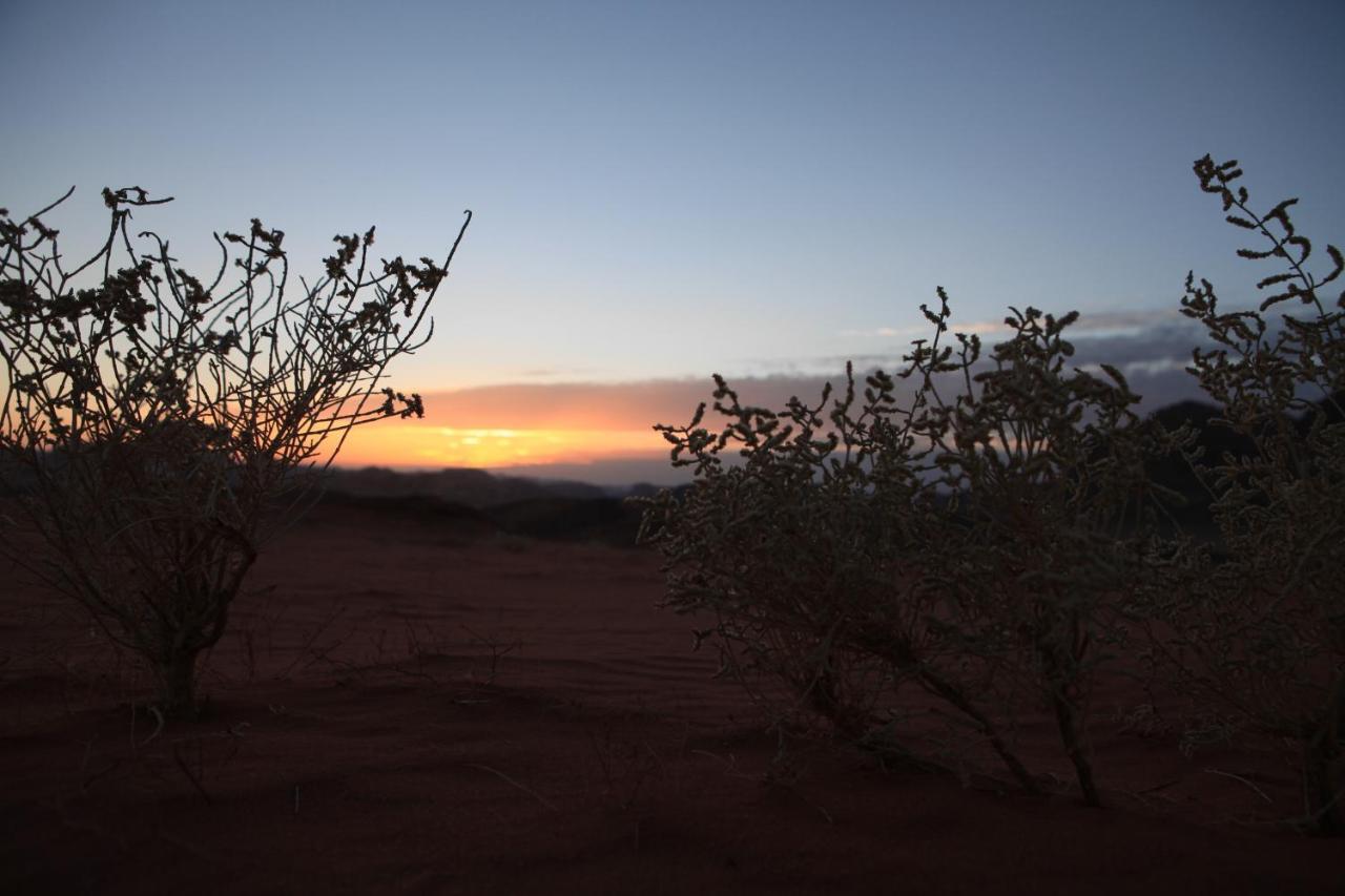 Bedouin Expedition 瓦迪拉姆 外观 照片