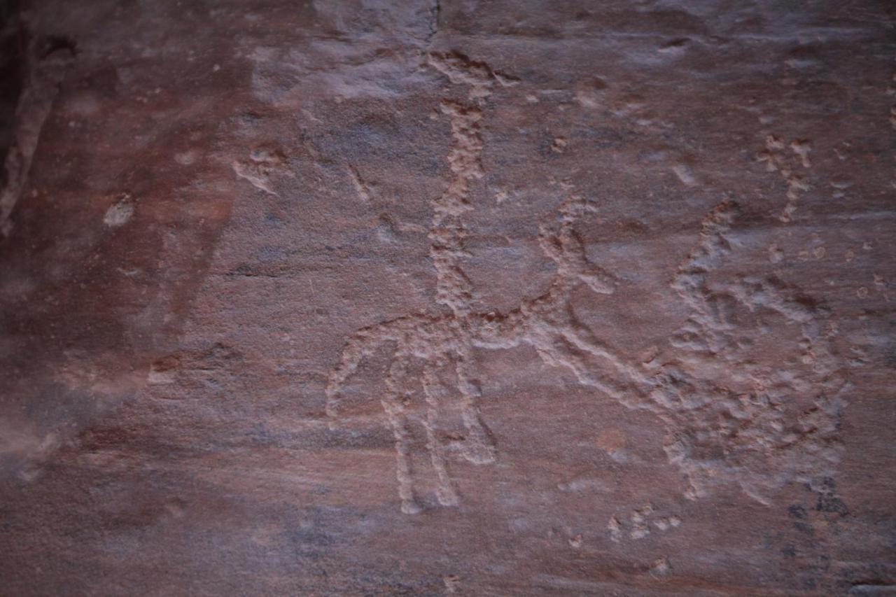 Bedouin Expedition 瓦迪拉姆 外观 照片